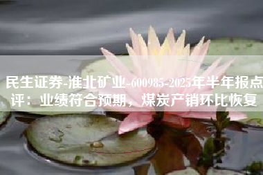 民生证券-淮北矿业-600985-2025年半年报点评：业绩符合预期，煤炭产销环比恢复