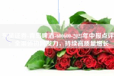 东吴证券-青岛啤酒-600600-2025年中报点评：全渠道协同发力，持续高质量增长