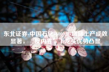东北证券-中国石化-600028-增储上产成效显著，“反内卷”下龙头优势凸显