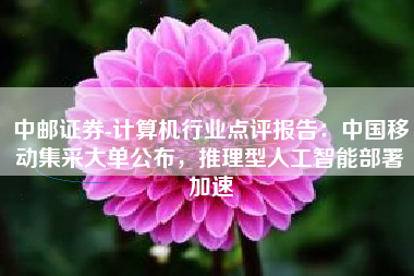 中邮证券-计算机行业点评报告：中国移动集采大单公布，推理型人工智能部署加速