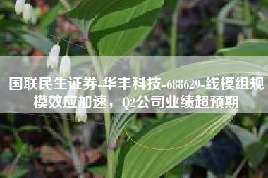 国联民生证券-华丰科技-688629-线模组规模效应加速，Q2公司业绩超预期