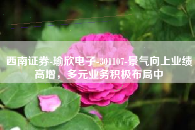 西南证券-瑜欣电子-301107-景气向上业绩高增，多元业务积极布局中