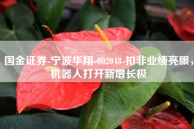 国金证券-宁波华翔-002048-扣非业绩亮眼，机器人打开新增长极