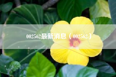 002562最新消息（002562）