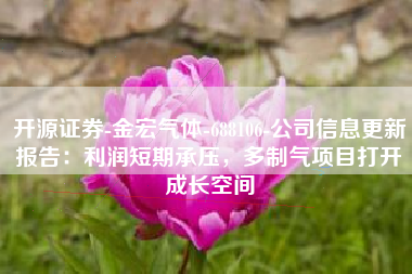 开源证券-金宏气体-688106-公司信息更新报告：利润短期承压，多制气项目打开成长空间