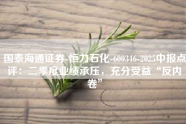 国泰海通证券-恒力石化-600346-2025中报点评：二季度业绩承压，充分受益“反内卷”