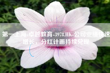 第一上海-卓越教育-3978.HK-公司业绩快速增长，分红计画持续兑现