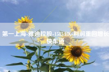 第一上海-雅迪控股-1585.HK-利润重回增长快车道