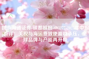 国泰海通证券-银都股份-603277-2025年中报点评：关税与海运费致使盈利承压，全球品牌与产能再升级