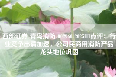 西部证券-青鸟消防-002960-2025H1点评：行业竞争出清加速，公司民商用消防产品龙头地位巩固
