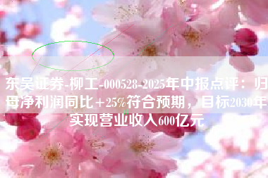 东吴证券-柳工-000528-2025年中报点评：归母净利润同比+25%符合预期，目标2030年实现营业收入600亿元
