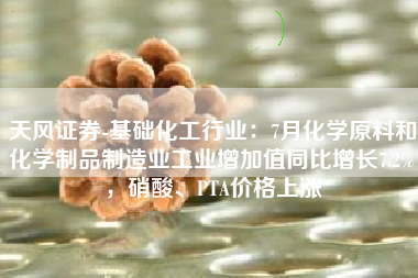 天风证券-基础化工行业：7月化学原料和化学制品制造业工业增加值同比增长7.2%，硝酸、PTA价格上涨