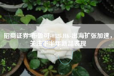 招商证券-布鲁可-0325.HK-出海扩张加速，关注下半年新品表现