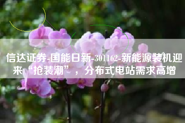 信达证券-国能日新-301162-新能源装机迎来“抢装潮”，分布式电站需求高增