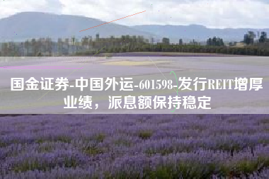 国金证券-中国外运-601598-发行REIT增厚业绩，派息额保持稳定