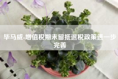 毕马威-增值税期末留抵退税政策进一步完善