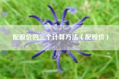 配股价的三个计算方法（配股价）