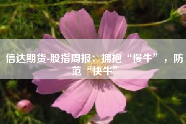 信达期货-股指周报：拥抱“慢牛”，防范“快牛”