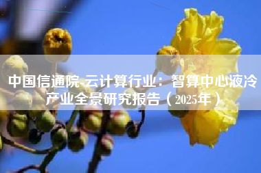 中国信通院-云计算行业：智算中心液冷产业全景研究报告（2025年）