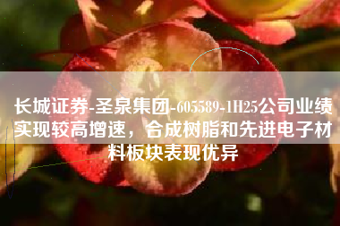 长城证券-圣泉集团-605589-1H25公司业绩实现较高增速，合成树脂和先进电子材料板块表现优异