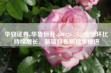 华安证券-华鲁恒升-600426-25Q2业绩环比持续增长，新项目布局稳步推进