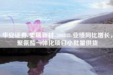华安证券-美瑞新材-300848-业绩同比增长，聚氨酯一体化项目小批量供货
