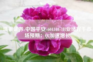 瑞银证券-中国平安-601318-1H业绩好于市场预期；Q2加速增长