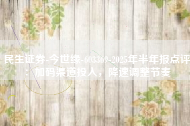 民生证券-今世缘-603369-2025年半年报点评：加码渠道投入，降速调整节奏