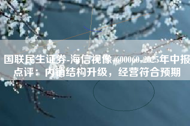 国联民生证券-海信视像-600060-2025年中报点评：内销结构升级，经营符合预期