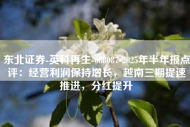 东北证券-英科再生-688087-2025年半年报点评：经营利润保持增长，越南三期提速推进，分红提升