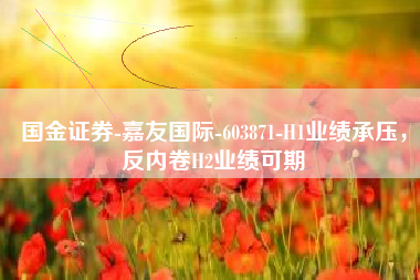 国金证券-嘉友国际-603871-H1业绩承压，反内卷H2业绩可期