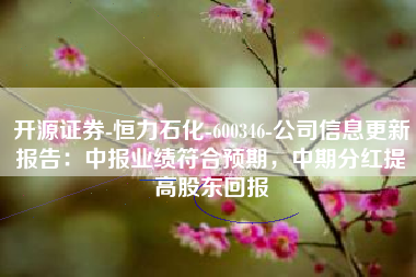 开源证券-恒力石化-600346-公司信息更新报告：中报业绩符合预期，中期分红提高股东回报