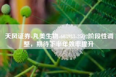 天风证券-丸美生物-603983-25Q2阶段性调整，期待下半年效率提升