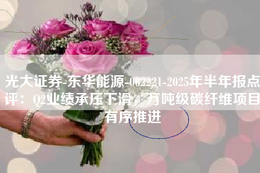 光大证券-东华能源-002221-2025年半年报点评：Q2业绩承压下滑，万吨级碳纤维项目有序推进