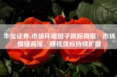 华宝证券-市场环境因子跟踪周报：市场情绪高涨，赚钱效应持续扩散