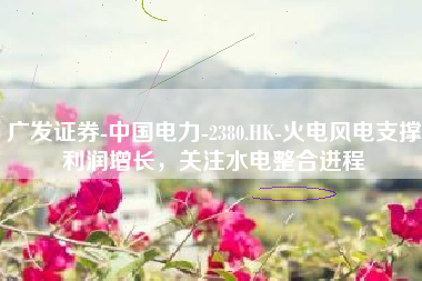 广发证券-中国电力-2380.HK-火电风电支撑利润增长，关注水电整合进程