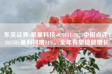 东吴证券-聚星科技-920111-2025中报点评：2025H1盈利同增11%，全年有望稳健增长