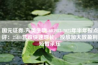 国元证券-丸美生物-603983-2025年半年报点评：25H1营收快速增长，投放加大致盈利短暂承压