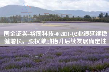 国金证券-裕同科技-002831-Q2业绩延续稳健增长，股权激励抬升后续发展确定性