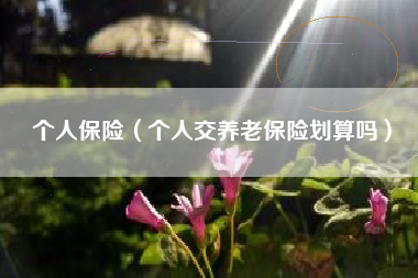 个人保险（个人交养老保险划算吗）