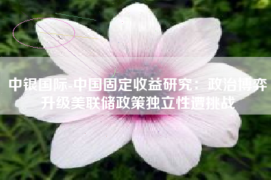 中银国际-中国固定收益研究：政治博弈升级美联储政策独立性遭挑战