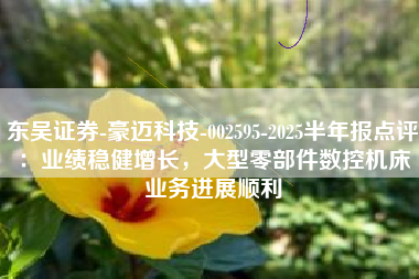 东吴证券-豪迈科技-002595-2025半年报点评：业绩稳健增长，大型零部件数控机床业务进展顺利