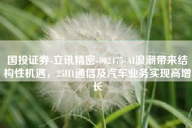 国投证券-立讯精密-002475-AI浪潮带来结构性机遇，25H1通信及汽车业务实现高增长
