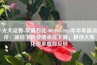 光大证券-荣盛石化-002493-2025年半年报点评：油价下跌业绩承压下滑，静待大炼化迎来底部反转