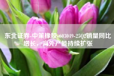 东北证券-中策橡胶-603049-25Q2销量同比增长，海外产能持续扩张