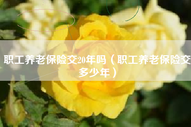 职工养老保险交20年吗（职工养老保险交多少年）
