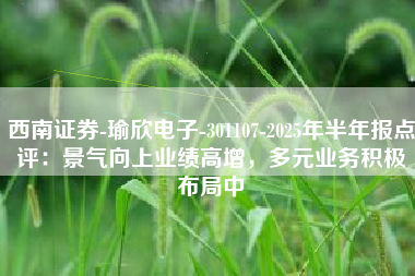 西南证券-瑜欣电子-301107-2025年半年报点评：景气向上业绩高增，多元业务积极布局中