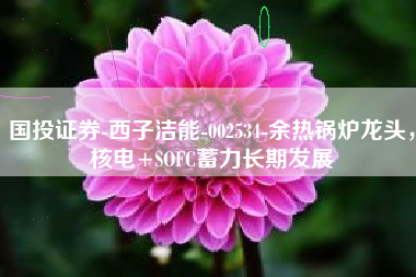 国投证券-西子洁能-002534-余热锅炉龙头，核电+SOFC蓄力长期发展
