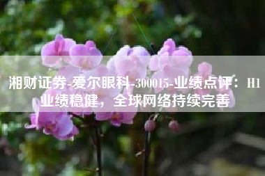 湘财证券-爱尔眼科-300015-业绩点评：H1业绩稳健，全球网络持续完善