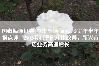 国泰海通证券-中集车辆-301039-2025年半年报点评：25Q2毛利率同环比改善，新兴市场业务高速增长